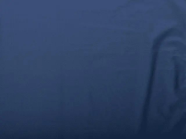 Baumwolle uni indigo