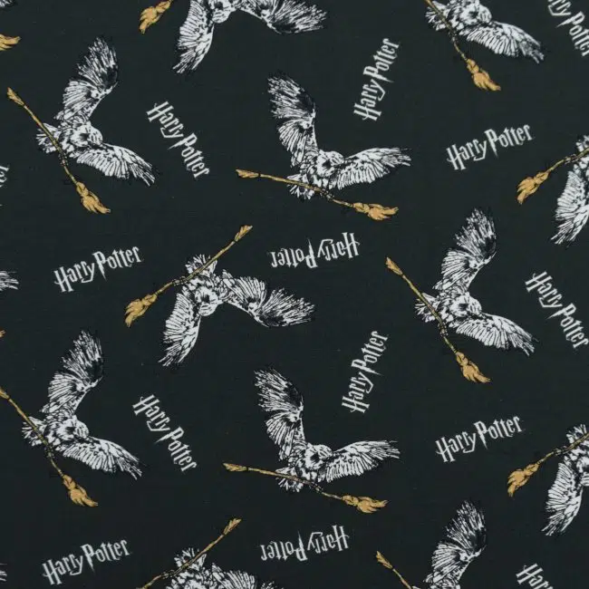 Jersey Harry Potter Hedwig & Nimbus 2000 dunkelgrau