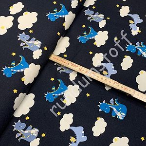 Bio Jersey Drachen Wolken dunkelblau