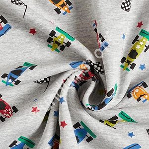 Alpenfleece Rennwagen grau